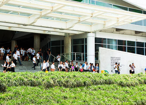 泰莱大学
